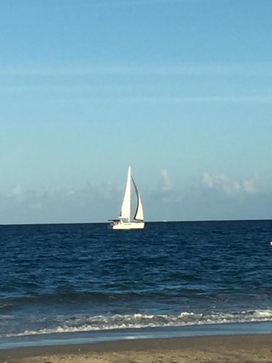 Palm Beach Mermaid West Palm Beach Kültér fotó